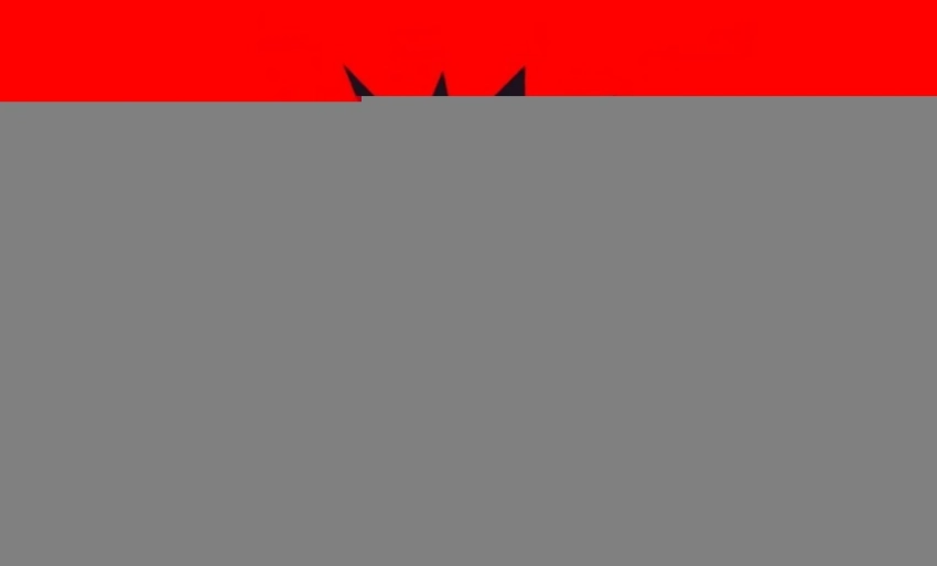 Игроки Team Yandex по Dota 2 ответили на вопросы о победе на DreamLeague 27